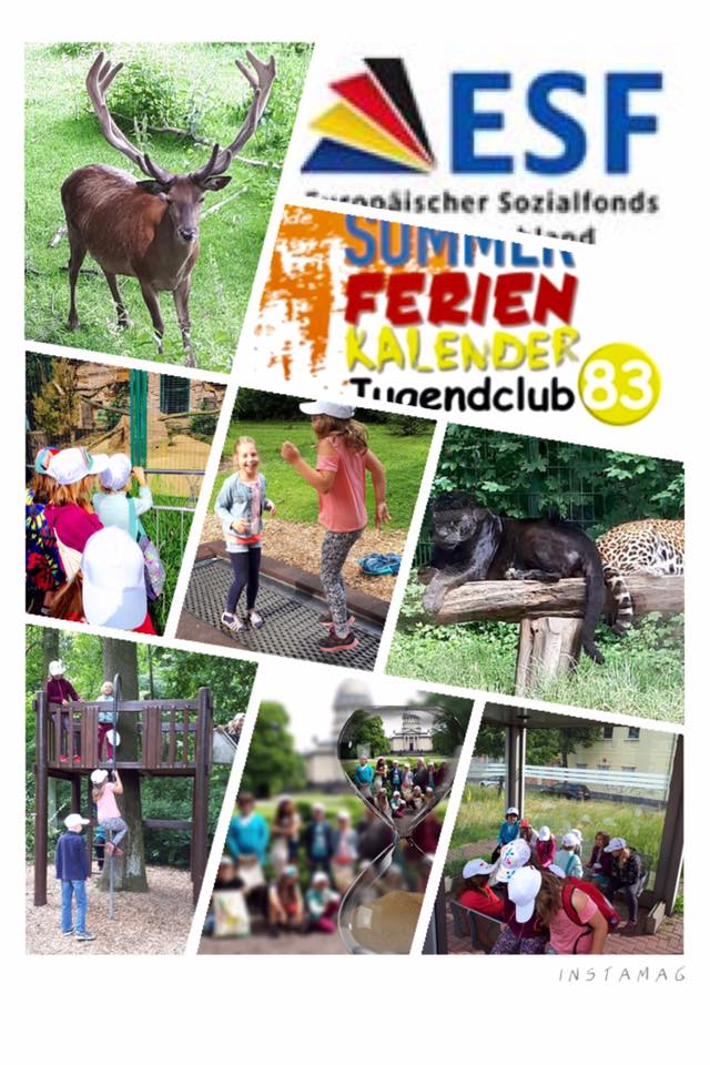 im Tierpark